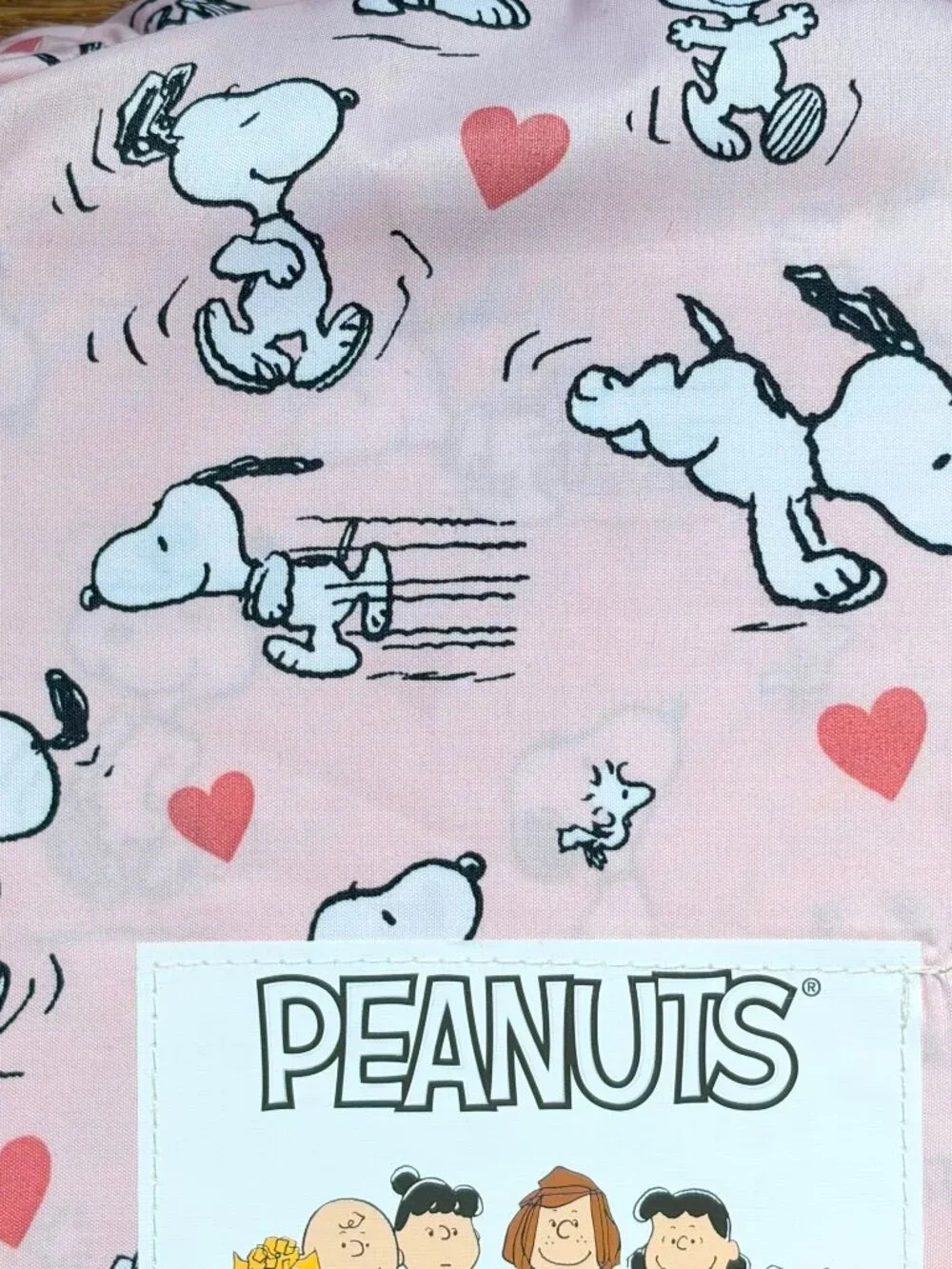Peanuts snoopy twin
